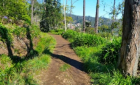 Walking Tour along the Levada of Vale Paraíso in Madeira