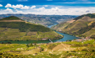 Douro boat tour with wine tasting