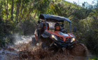 Buggy Tour in Silves in 90 minutes - Shared