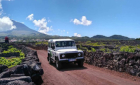 Pico Wine Tour - Shared Jeep Tour