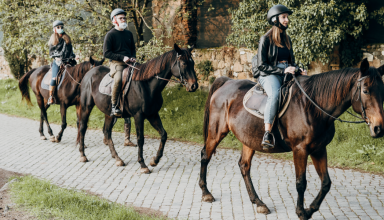 horseback riding group azores