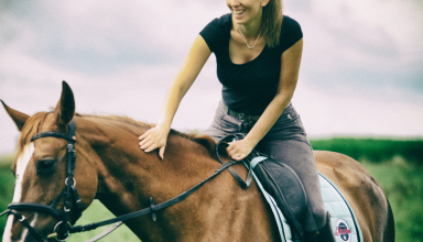 horseback riding