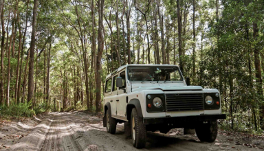 4x4 Jeep Tour through the Laurel Forest in Madeira! #4