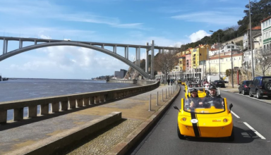 GoCar tour in the center of Porto and by the sea for 3 hours! #3