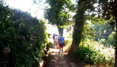 Walking Tour along the Levada of Vale Paraíso in Madeira #1