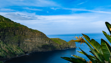 Walking Tour along the east coast of Madeira - Santana #3