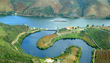 All-Inclusive 5 days Douro River Cruise + 2 days in Porto #2