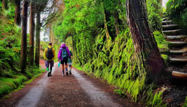 Hiking in Sete Cidades - Azores #2