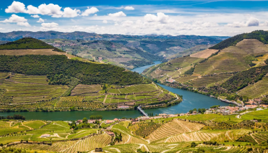 Douro boat tour with wine tasting #1