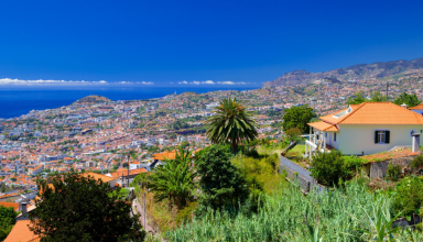 The Eternal Pearl of the Atlantic: Best of Madeira in 5 Days #2