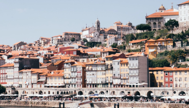 Half-Day Private Walking Tour to Porto #3