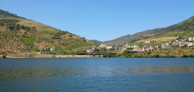 Day 7 - Enjoy a cruise in the Douro Valley