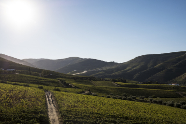 Day 8 - Be dazzled by the beauty of the Douro Valley