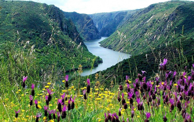 Day 6 - Be amazed by the beauty of Douro