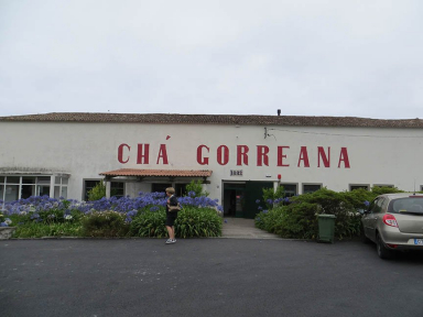 Gorreana Tea Factory
