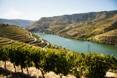 Day 3 - Take a panoramic tour in Douro