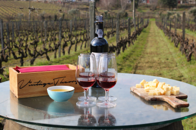 It's time to visit the wineries (and taste delicious wines!)