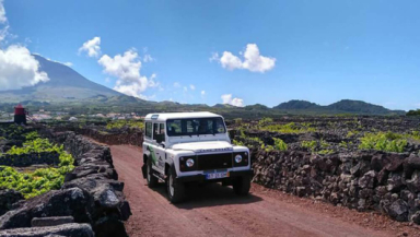 Pico Wine Tour - Shared Jeep Tour
