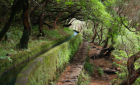 Passeio pela Levada Rabaçal – 25 Fontes na Madeira!