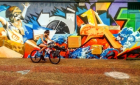 Passeio de Bicicleta Elétrica - Arte Urbana no Porto