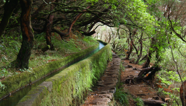 Passeio pela Levada Rabaçal – 25 Fontes na Madeira! #3