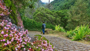 Caminhada no Salto do Prego - Açores #2