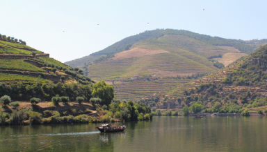 Tour Privado de barco no Douro com prova de vinhos #1