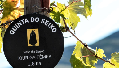 Visita à Quinta do Seixo com Prova de Vinhos DOC do Douro #4