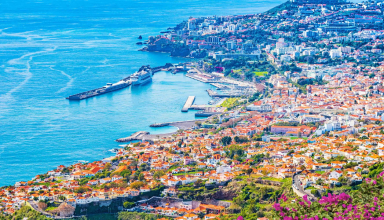 A Eterna Pérola do Atlântico: O Melhor da Madeira em 5 Dias #5