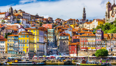 Tour Privado de Meio Dia ao Porto #1