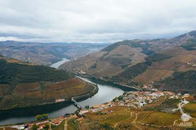 Dia 4 - Relaxe no meio da natureza do Vale do Douro