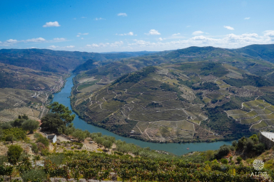 Dia 8 - Deslumbre-se com as fantásticas vistas sobre o Vale do Douro