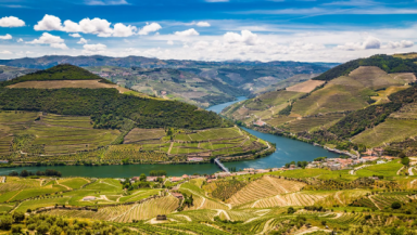 Tour de barco no Douro com prova de vinhos