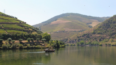 Tour Privado de barco no Douro com prova de vinhos