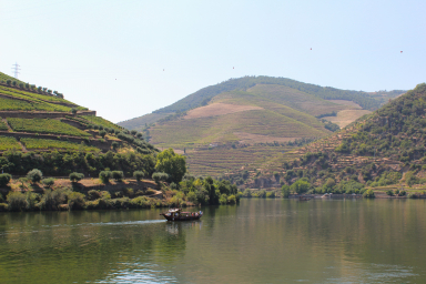 Dia 7 - Desfrute de um cruzeiro no Vale do Douro