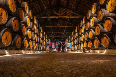 Visite as Caves de Vinho do Porto
